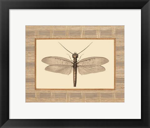 Framed Delicate Dancer II Print
