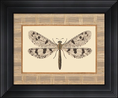 Framed Delicate Dancer III Print