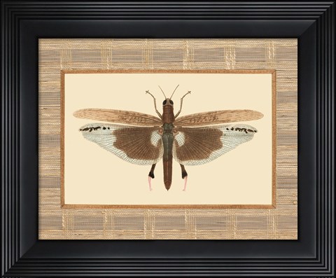Framed Delicate Dancer IV Print