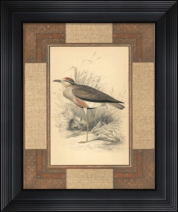 Framed Lowland Courier Print