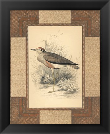 Framed Lowland Courier Print