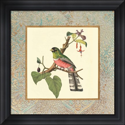 Framed Bel Air Songbirds II Print