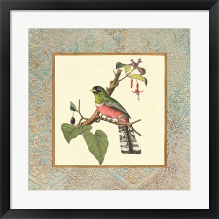 Framed Bel Air Songbirds II Print