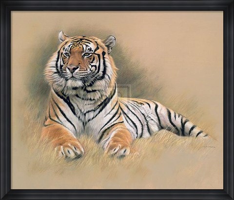 Framed Tiger [Ed 195] Print