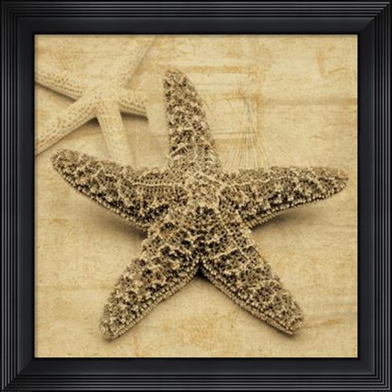 Framed Starfish Print