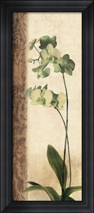 Framed Dreamweaver I Print