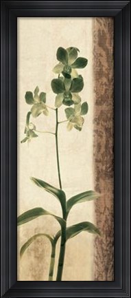 Framed Dreamweaver II Print