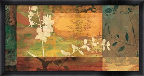 Framed Shambala II Print
