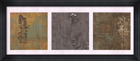 Framed Nature Path Print