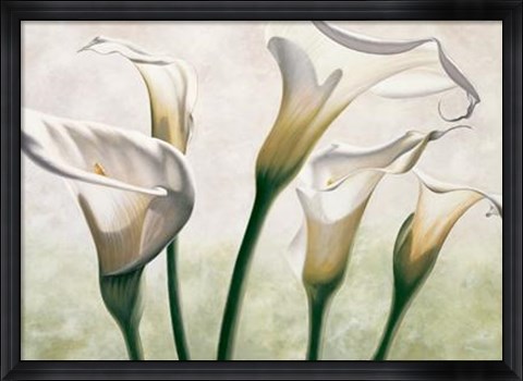 Framed Luce Print