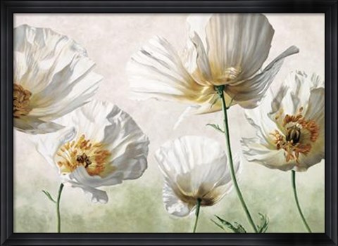 Framed Raggi Di Sole Print
