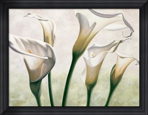 Framed Luce Print
