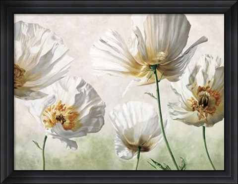 Framed Raggi Di Sole Print