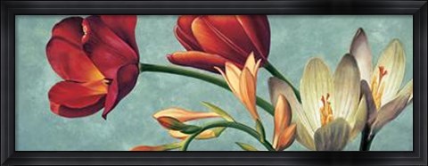 Framed Luce E Colore I Print