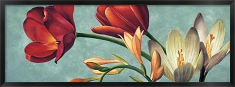 Framed Luce E Colore I Print