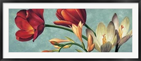 Framed Luce E Colore I Print