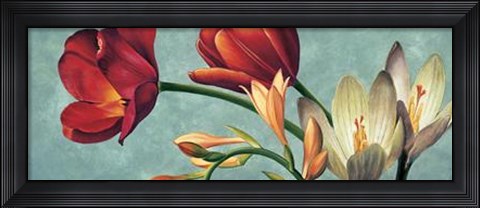 Framed Luce E Colore I Print