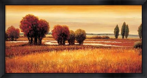 Framed Golden Reflections I Print