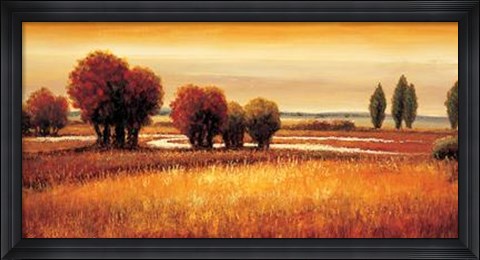 Framed Golden Reflections I Print