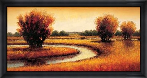 Framed Golden Reflections II Print
