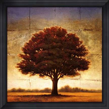 Framed Splendor I Print