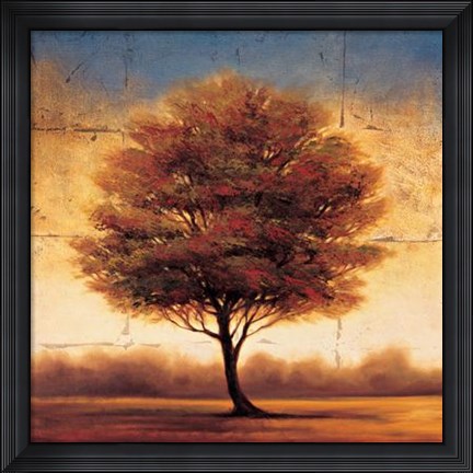 Framed Splendor II Print