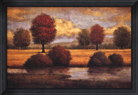 Framed Serene II Print