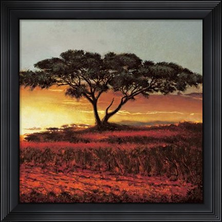 Framed Red Plains Print