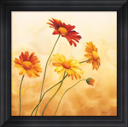 Framed Brezza Sulle Margherite Print