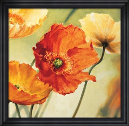 Framed Champs De Coquelicots II Print
