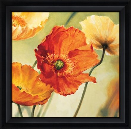 Framed Champs De Coquelicots II Print