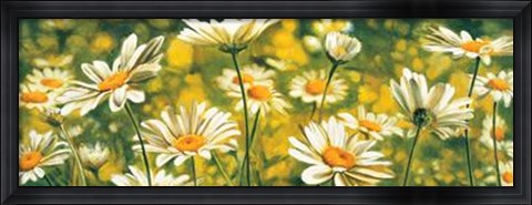 Framed Melodie De Marguerites Print