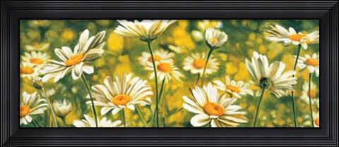 Framed Melodie De Marguerites Print