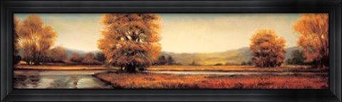 Framed Landscape Panorama II Print