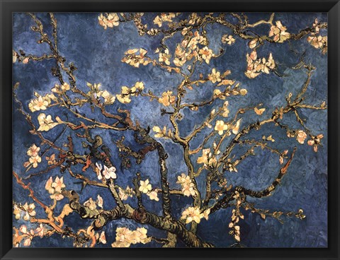 Framed Blossoming Almond Tree, Saint-Remy, c.1890 Print