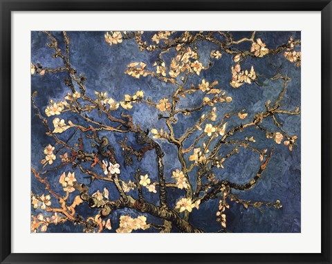 Framed Blossoming Almond Tree, Saint-Remy, c.1890 Print