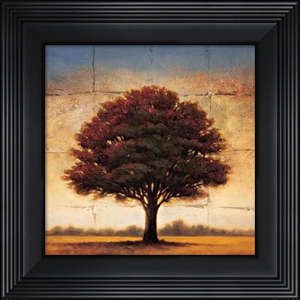 Framed Splendor I Print