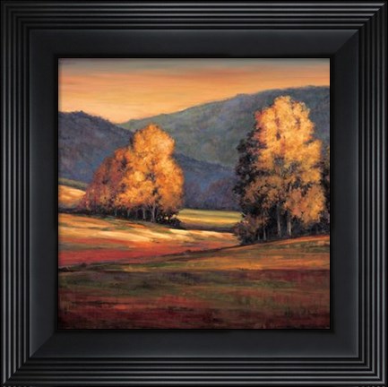 Framed In All Its Glory II Print