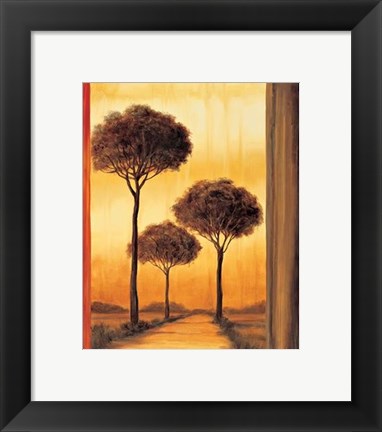 Framed Entrancing II Print