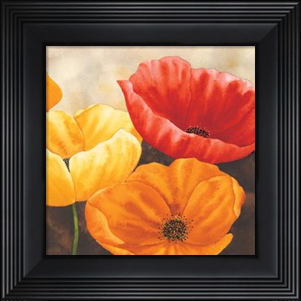 Framed Papaveri Variopinti II Print
