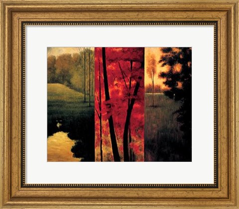 Framed Point of View II Print