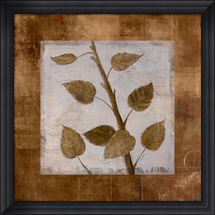 Framed Birch - Cs Print