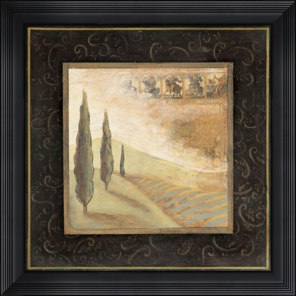 Framed Nature's Spirit I - Cs Print