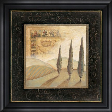 Framed Nature's Spirit II - Cs Print
