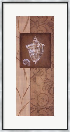 Framed Sand Shell I Print