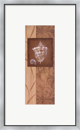 Framed Sand Shell I Print