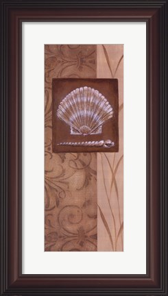 Framed Sand Shell II Print