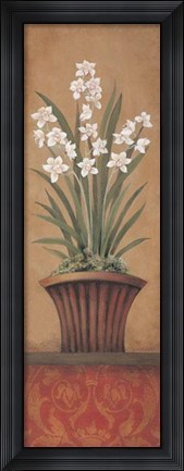 Framed Paperwhites II Print