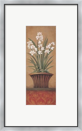 Framed Paperwhites II - Petite Print