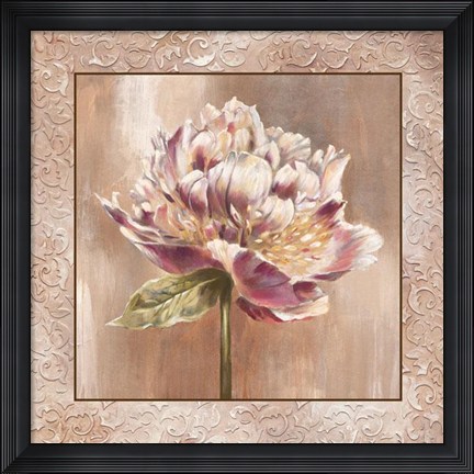 Framed Pivoines I - Cs Print